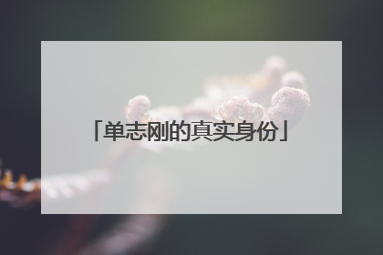 单志刚的真实身份