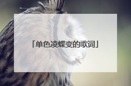 单色凌蝶变的歌词