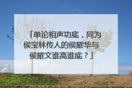 单论相声功底，同为侯宝林传人的侯耀华与侯耀文谁高谁底？