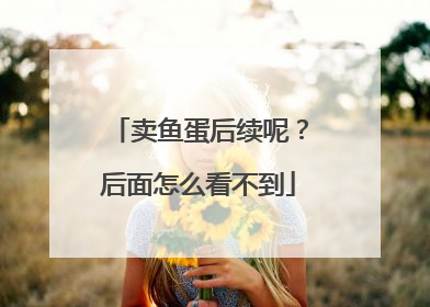 卖鱼蛋后续呢？后面怎么看不到
