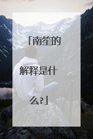 南笙的解释是什么?
