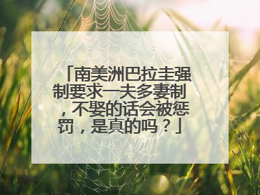 南美洲巴拉圭强制要求一夫多妻制，不娶的话会被惩罚，是真的吗？