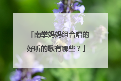南拳妈妈组合唱的好听的歌有哪些？
