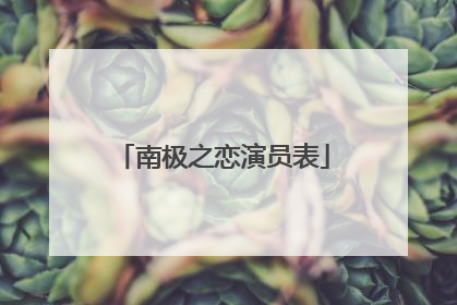 南极之恋演员表