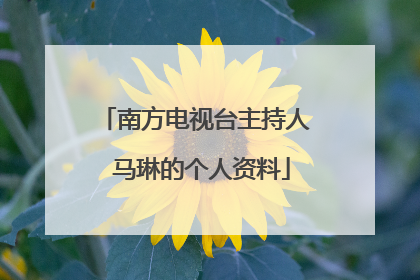 南方电视台主持人 马琳的个人资料