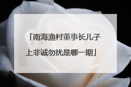 南海渔村董事长儿子上非诚勿扰是哪一期