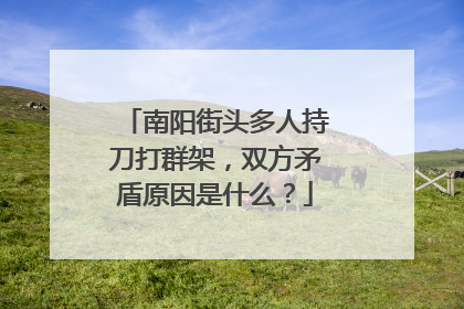 南阳街头多人持刀打群架,双方矛盾原因是什么?