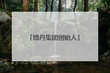 博丹集团创始人