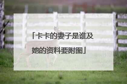 卡卡的妻子是谁及她的资料要附图