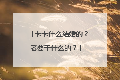 卡卡什么结婚的？老婆干什么的？