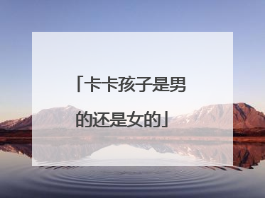卡卡孩子是男的还是女的