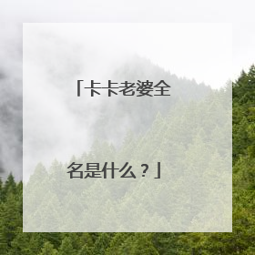 卡卡老婆全名是什么?