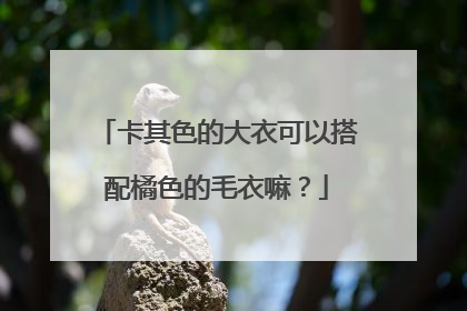 卡其色的大衣可以搭配橘色的毛衣嘛？