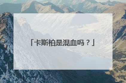卡斯柏是混血吗?