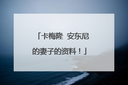 卡梅隆 安东尼的妻子的资料！