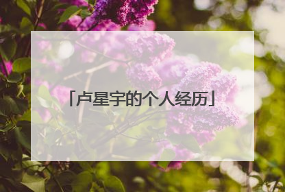 卢星宇的个人经历