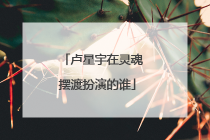 卢星宇在灵魂摆渡扮演的谁