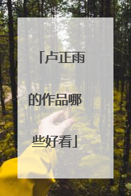 卢正雨的作品哪些好看