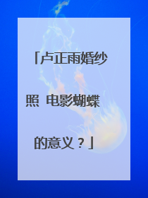 卢正雨婚纱照 电影蝴蝶的意义?