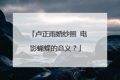 卢正雨婚纱照 电影蝴蝶的意义？