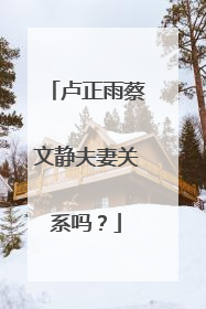 卢正雨蔡文静夫妻关系吗？