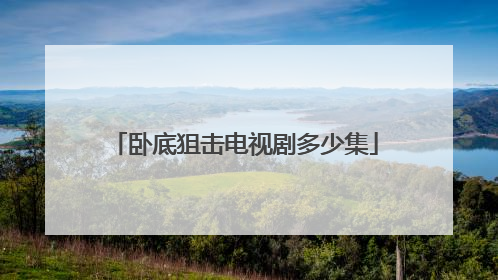 卧底狙击电视剧多少集