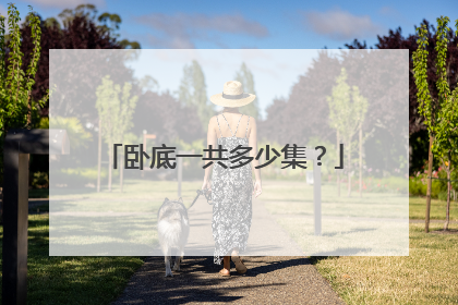 卧底一共多少集?