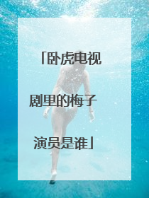 卧虎电视剧里的梅子演员是谁