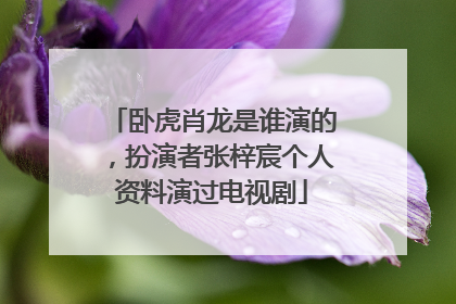 卧虎肖龙是谁演的，扮演者张梓宸个人资料演过电视剧