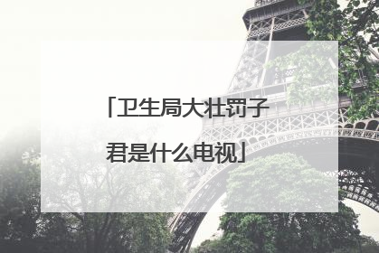 卫生局大壮罚子君是什么电视