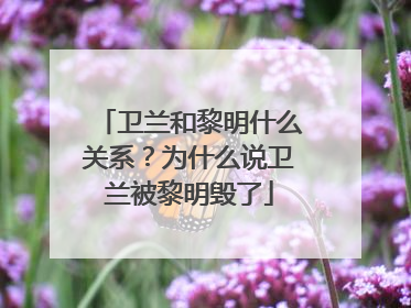 卫兰和黎明什么关系?为什么说卫兰被黎明毁了