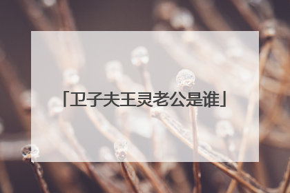 卫子夫王灵老公是谁