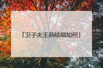 卫子夫王燕结局如何