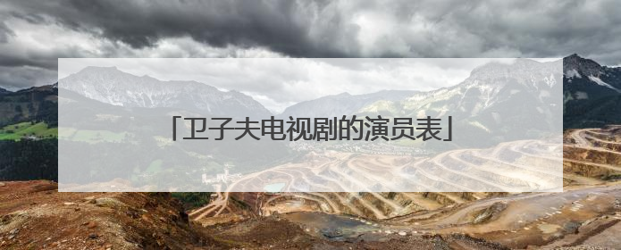 卫子夫电视剧的演员表