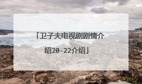 卫子夫电视剧剧情介绍20-22介绍