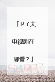 卫子夫电视剧在哪看？