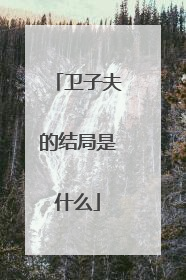 卫子夫的结局是什么