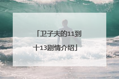 卫子夫的11到十13剧情介绍