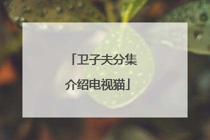 卫子夫分集介绍电视猫