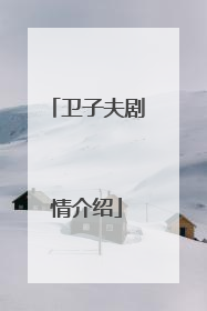 卫子夫剧情介绍