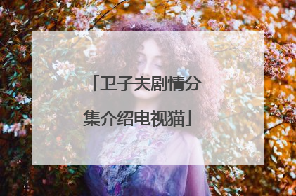 卫子夫剧情分集介绍电视猫