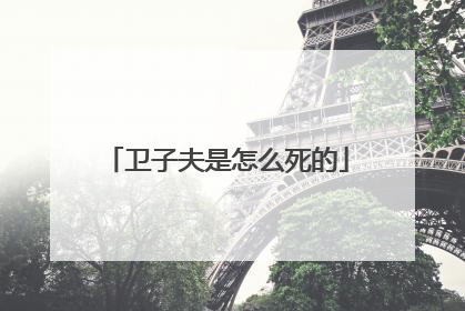 卫子夫是怎么死的