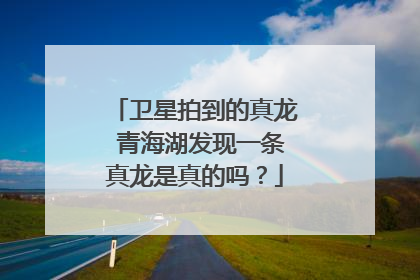 卫星拍到的真龙 青海湖发现一条真龙是真的吗?