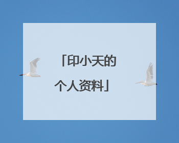 印小天的个人资料
