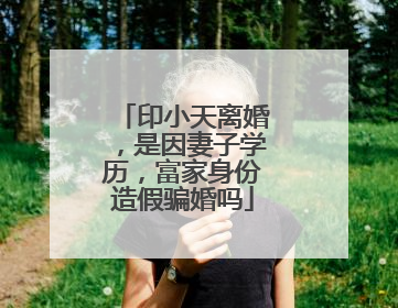 印小天离婚,是因妻子学历,富家身份造假骗婚吗