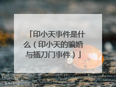 印小天事件是什么（印小天的骗婚与插刀门事件）
