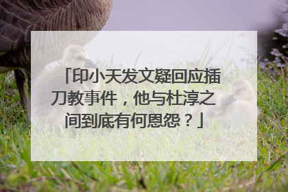 印小天发文疑回应插刀教事件,他与杜淳之间到底有何恩怨?