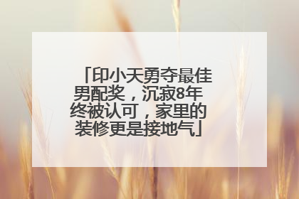 印小天勇夺最佳男配奖,沉寂8年终被认可,家里的装修更是接地气