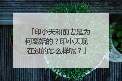 印小天和前妻是为何离婚的?印小天现在过的怎么样呢?