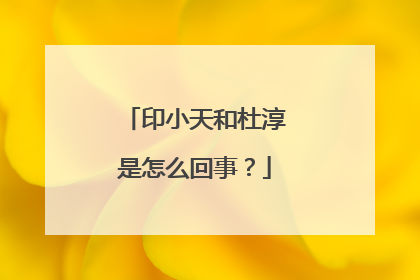 印小天和杜淳是怎么回事？